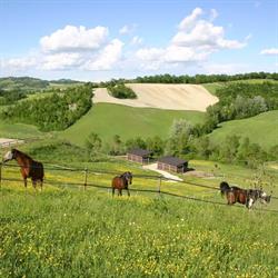 Centro Equestre La Contea, Castellarano orari di apertura