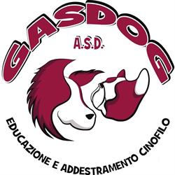 Centro Cinofilo GASDOG A.S.D. - Addestramento, Educazione e Sport Cinofili, Torre del Lago Puccini orari di apertura