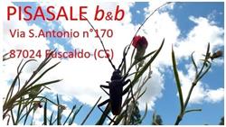 B&B Pisasale, Scarcelli orari di apertura