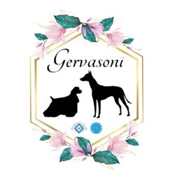 Allevamento Gervasoni, Lerma orari di apertura
