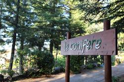 Le Conifere Casa Vacanze, Pignola orari di apertura