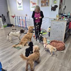 Dogtrainingroma, Roma orari di apertura