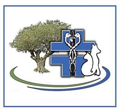 Centro Veterinario "Gli Ulivi", Fondi orari di apertura