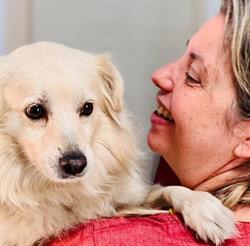 Ambulatorio Veterinario Althea, Palermo orari di apertura