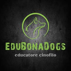 Edubonadogs educatore cinofilo e pensione casalinga, Bruino orari di apertura