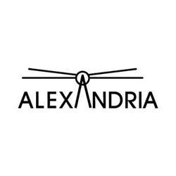 Bingo Alexandria, Alessandria orari di apertura