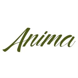 Anima Ristorante Roma, orari di apertura