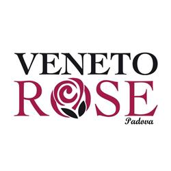 Veneto Rose Srl Padova, orari di apertura