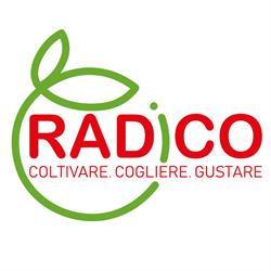 Radico Cash&Carry, Sant'Alberto orari di apertura