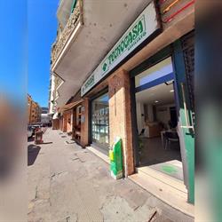 Affiliato Tecnocasa Immobiliare Sestri Sas, Genova orari di apertura