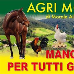AGRI-MORALE DI ALESSANDRO MORALE BOMBOLE A GAS - MANGIMI., Avola orari di apertura