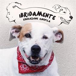 ibridaMente - Pensione e Asilo per Cani - addestramento - educatore cinofilo, Carpi orari di apertura
