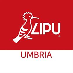 Lipu Umbria, Castiglione del Lago orari di apertura