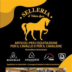Edicola e Selleria di Valeria Laccu - Ilico Point Luogosanto, orari di apertura