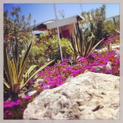 Chalet Marakaibo, Porto San Giorgio orari di apertura