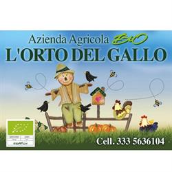 L’ORTO DEL GALLO, Massa orari di apertura