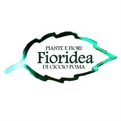 Fioridea di Ciccio Poma, Trapani orari di apertura