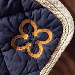 Scuderia la principessa, Parma orari di apertura