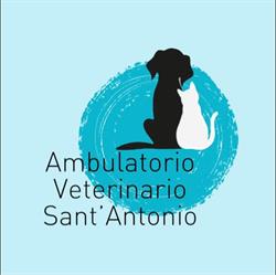 Ambulatorio veterinario Sant’Antonio, Uliveto Terme orari di apertura