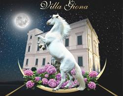 Giona Show, Castelguglielmo orari di apertura