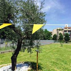 Polo Educativo di Comunità "Patrizia Ferri", Parma orari di apertura