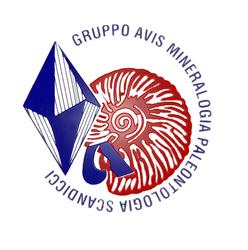GAMPS Scandicci, orari di apertura