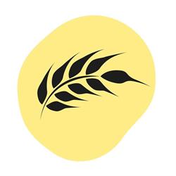 Panificio Fior di Pane - Corigliano d'Otranto, orari di apertura