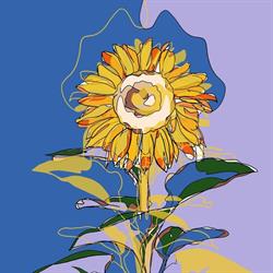 Frutteria Girasole, Sabaudia orari di apertura