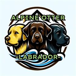 Pensione per cani Megan & Co e Allevamento Labrador Alpine otter, Settimo Vittone orari di apertura