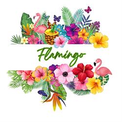 Flamingo Disco Club, Montebello Vicentino orari di apertura