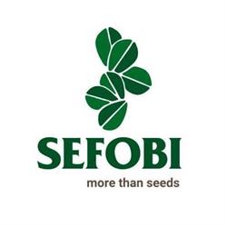 SEFOBI S.R.L., San Martino di Lupari orari di apertura