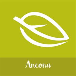 La Saponaria - Biostorie Ancona, orari di apertura