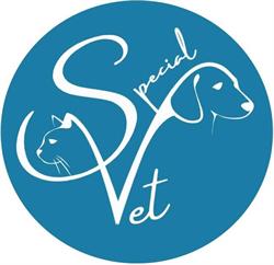 Clinica Special Vet, Sassari orari di apertura