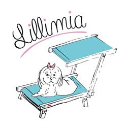 Lillimia Srl, Manerbio orari di apertura