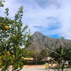 B&B Il Colibrì di Battaglia, San Vito Lo Capo orari di apertura