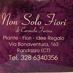 Non Solo Fiori, Randazzo orari di apertura