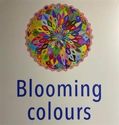 Blooming Colours, Olbia orari di apertura