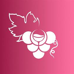 Brenta's Wine, Mezzocorona orari di apertura