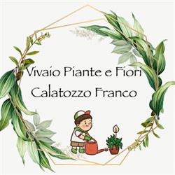 Vivaio piante e fiori di Calatozzo Franco, Galati Marina orari di apertura