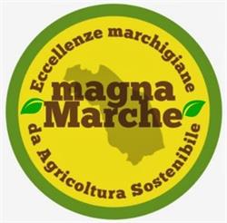 magnaMarche, Ancona orari di apertura