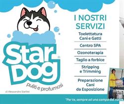 Toelettatura Star Dog, Avezzano orari di apertura