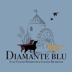 allevamento Diamante Blu FlatCoated & Golden Retrievers, Spessa orari di apertura
