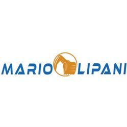 Mario Lipani Movimento Terra, Enna orari di apertura