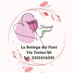 La Bottega dei Fiori, Druento orari di apertura