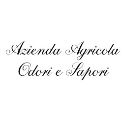 Odori e Sapori, Cammarata orari di apertura