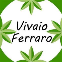Vivaio Ferraro, Cisano sul Neva orari di apertura