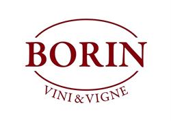Borin Vini e Vigne - Colli Euganei, Monselice orari di apertura