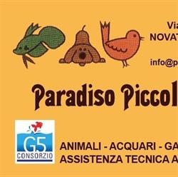 Paradiso Piccoli Amici, Novate Milanese orari di apertura