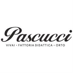 Vivai Pascucci, Pesaro orari di apertura