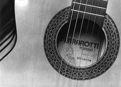 ferrarotti chitarre, Torino orari di apertura